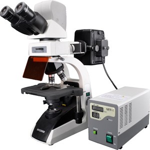 YDC-2000熒光生物顯微鏡