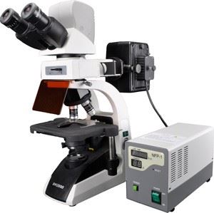 YDC-2000熒光生物顯微鏡